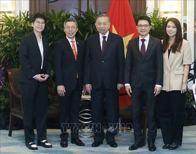 tong bi thu, chu tich nuoc to lam tiep lanh dao cac tap doan doanh nghiep lon cua singapore hinh anh 1