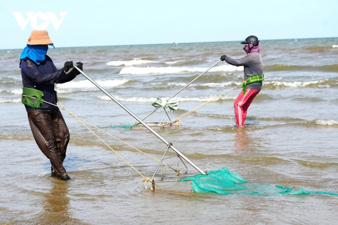 a hardworking day of mini clam diggers along thanh hoa beach picture 2