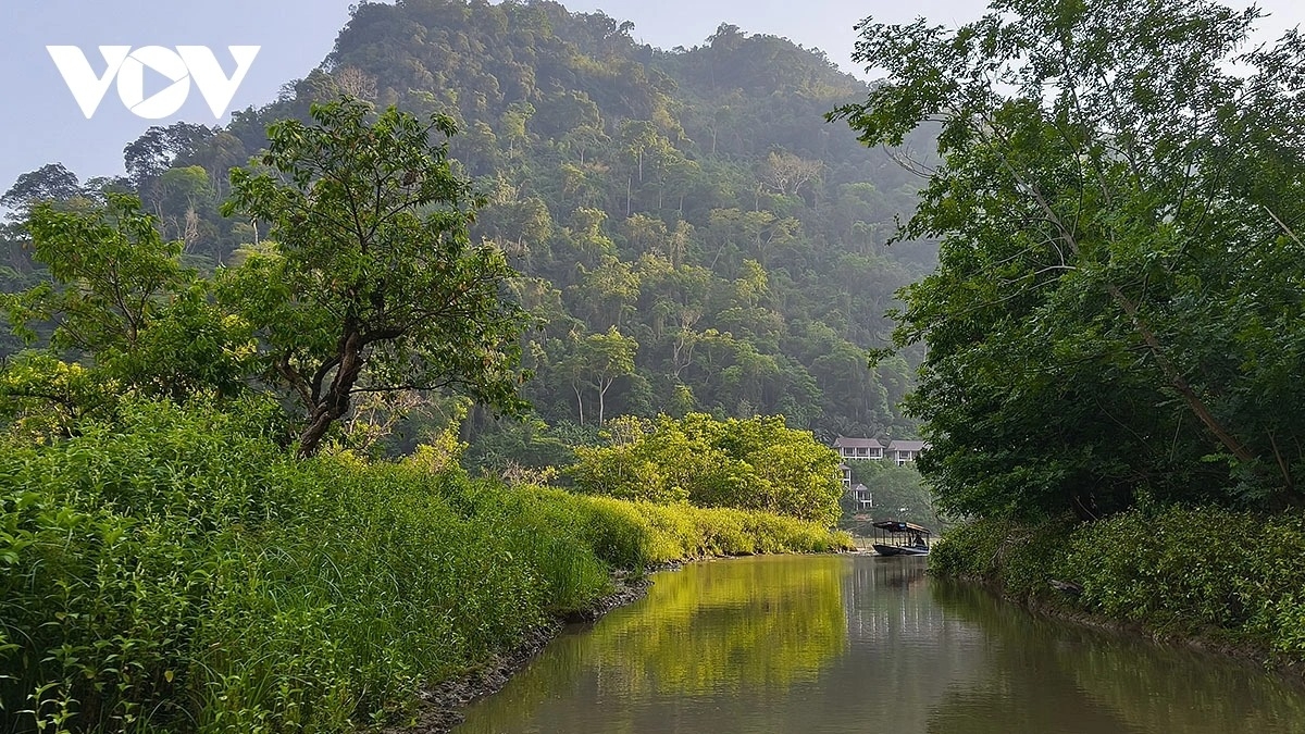 awakening the tea land in the clouds amid thai nguyen s endless green picture 2