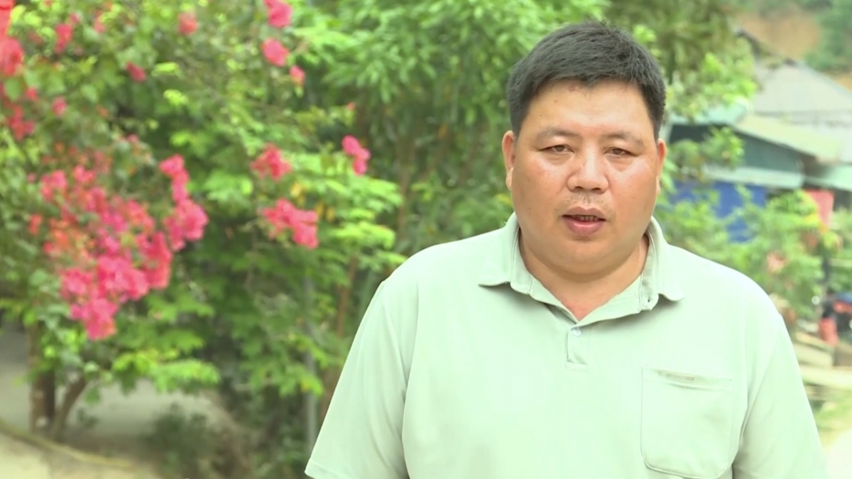 gan 10.000 ha rung vau bi chet, nguoi dan thanh hoa khap kho khan hinh anh 2