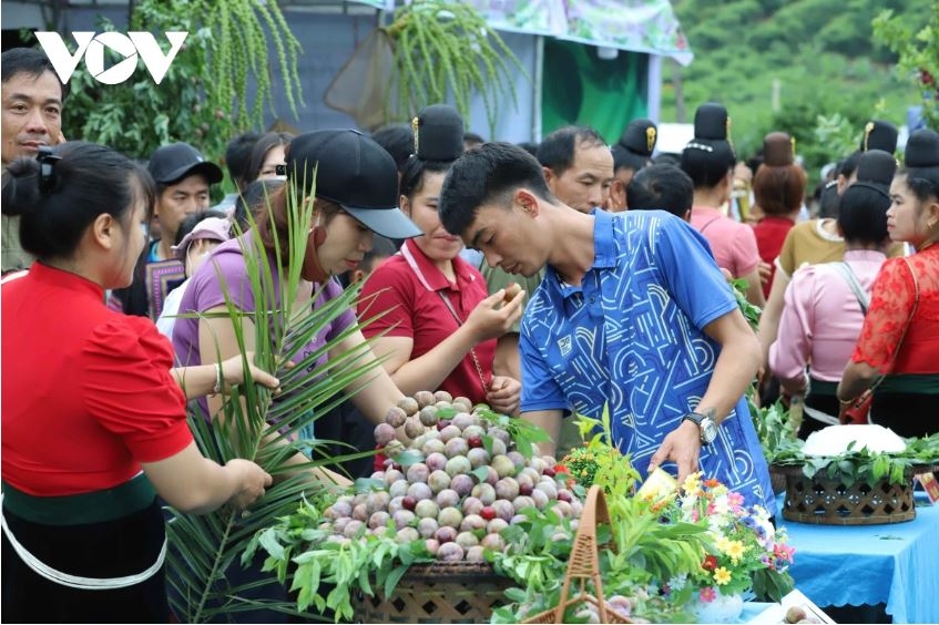 nhieu le hoi qua se dien ra tai son la trong thang 5 hinh anh 3