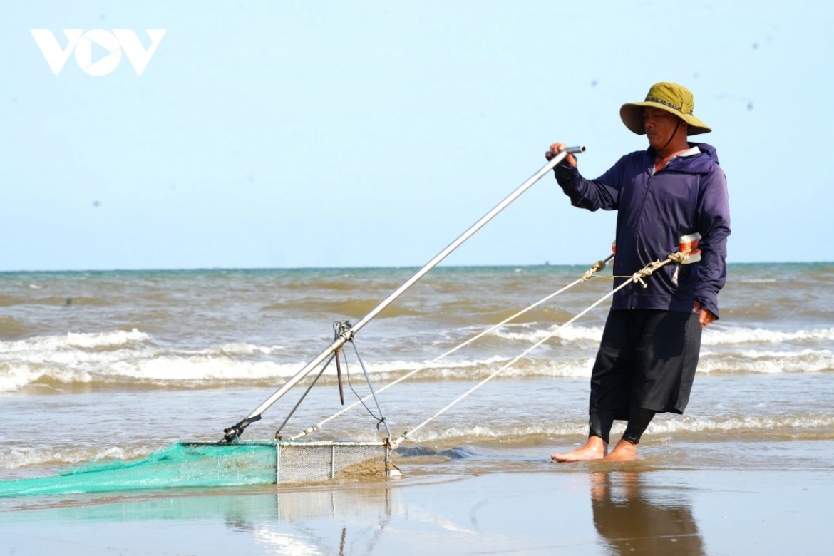 a hardworking day of mini clam diggers along thanh hoa beach picture 3