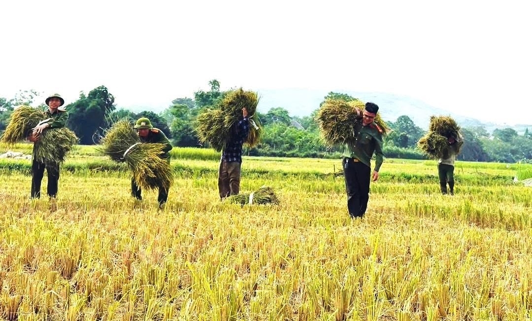 when police officers head to the field to lend a helping hand to farmers picture 3