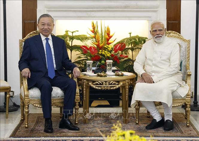 tong bi thu, chu tich nuoc to lam va thu tuong An Do narendra modi gap hep hinh anh 3