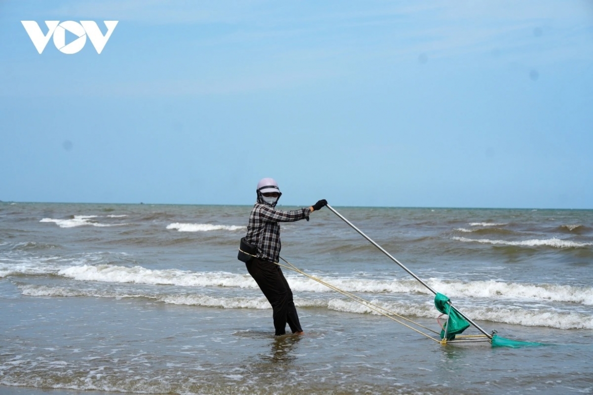 a hardworking day of mini clam diggers along thanh hoa beach picture 4