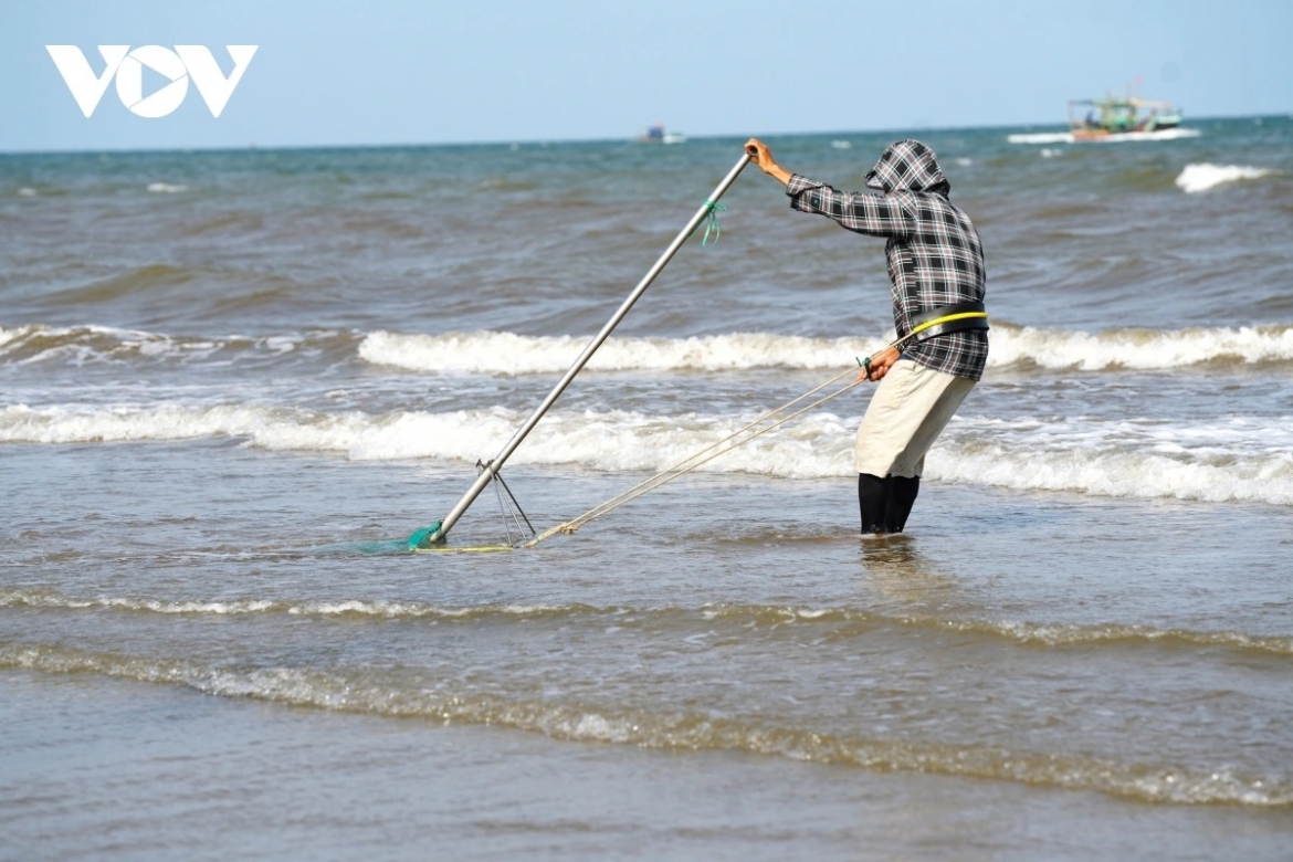 a hardworking day of mini clam diggers along thanh hoa beach picture 5
