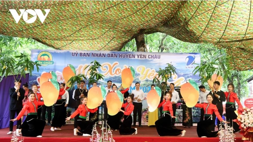 nhieu le hoi qua se dien ra tai son la trong thang 5 hinh anh 6