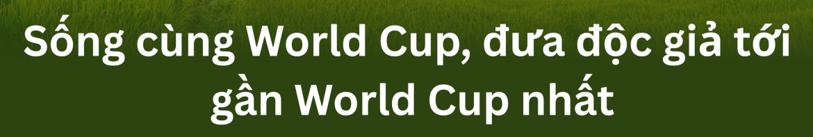the thao van hoa phu song world cup 2026 hinh anh 10