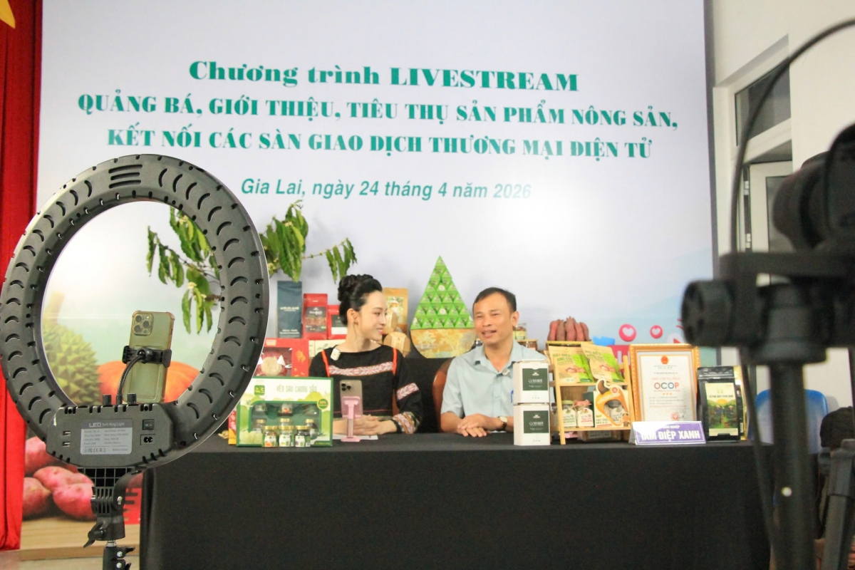 Từ chợ quê lên sàn thương mại điện tử, lối mở cho nông sản Gia Lai đi xa
