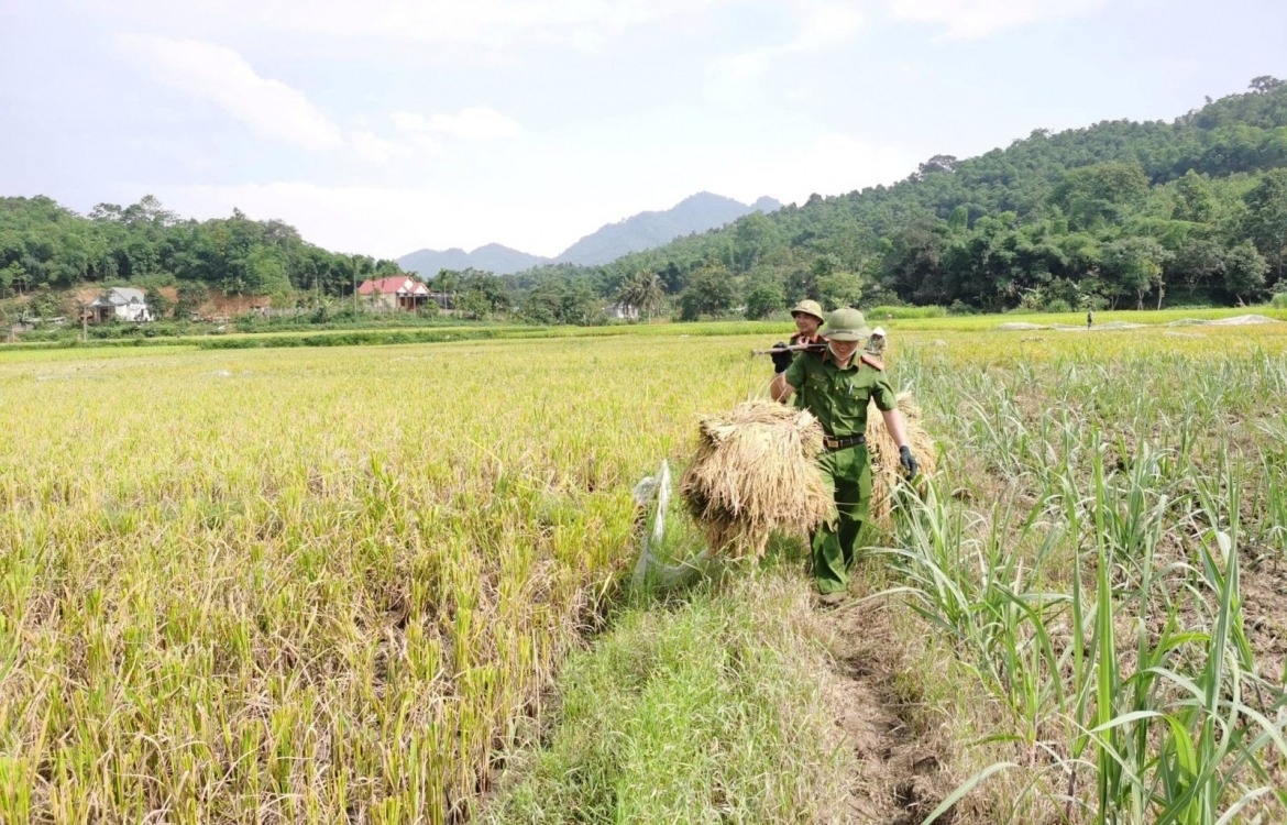 when police officers head to the field to lend a helping hand to farmers picture 7