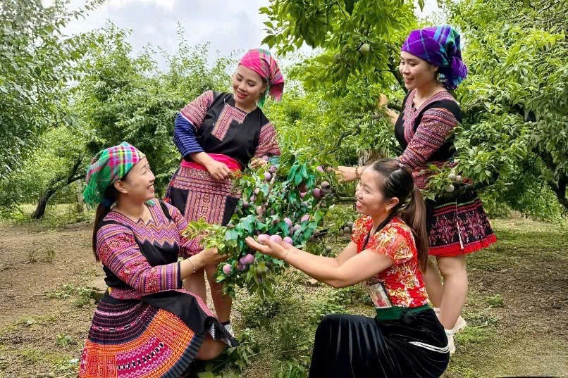 nhieu le hoi qua se dien ra tai son la trong thang 5 hinh anh 1