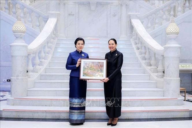 phu nhan tong bi thu, chu tich nuoc tham bao tang o bangkok, thai lan hinh anh 8