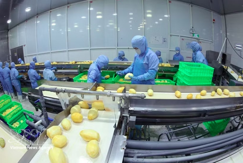 agricultural exports seek to overcome technical barriers through digitalisation picture 1