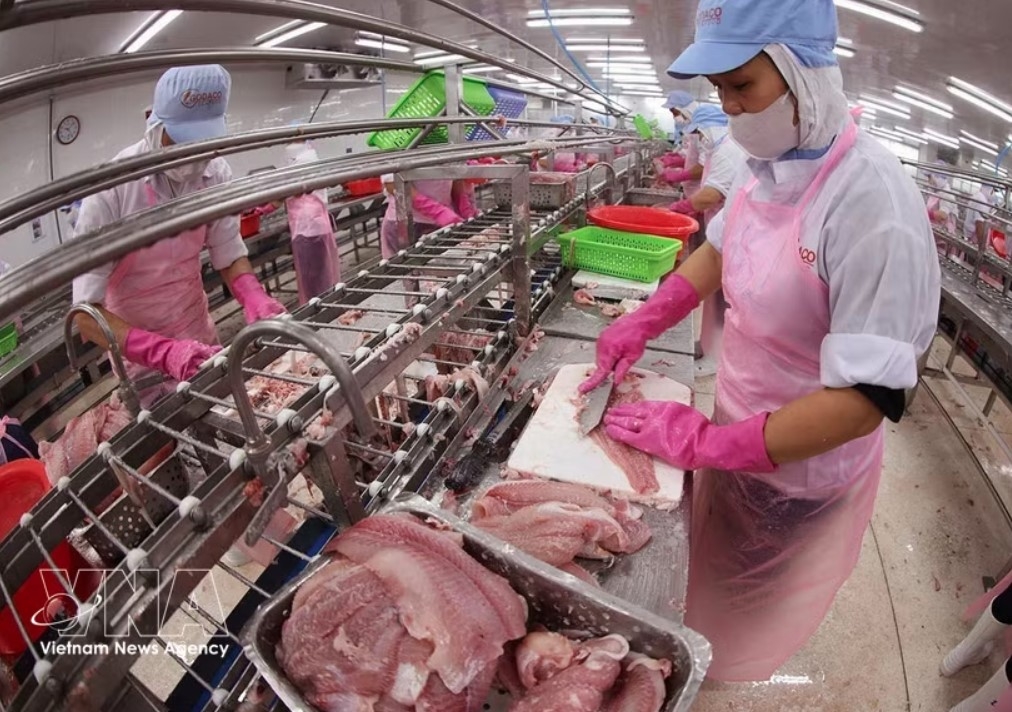 agro-forestry-fishery exports up 5.4 in four months picture 1