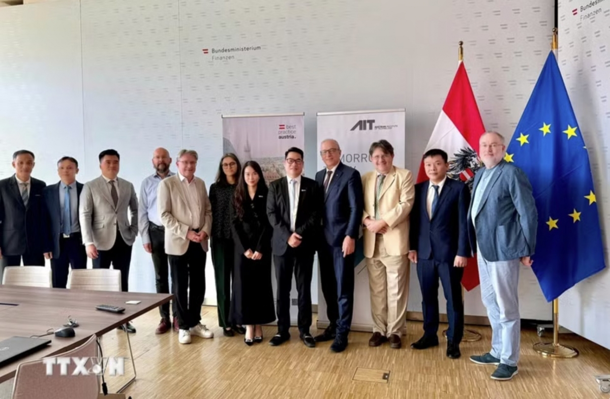 vietnamese, austrian experts discuss ai, cybersecurity cooperation picture 1