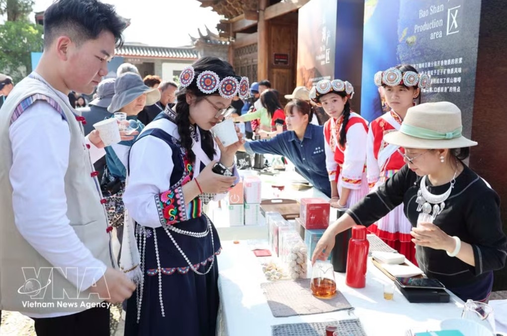 vietnam, china strengthen coffee cooperation, opening new opportunities in yunnan picture 1