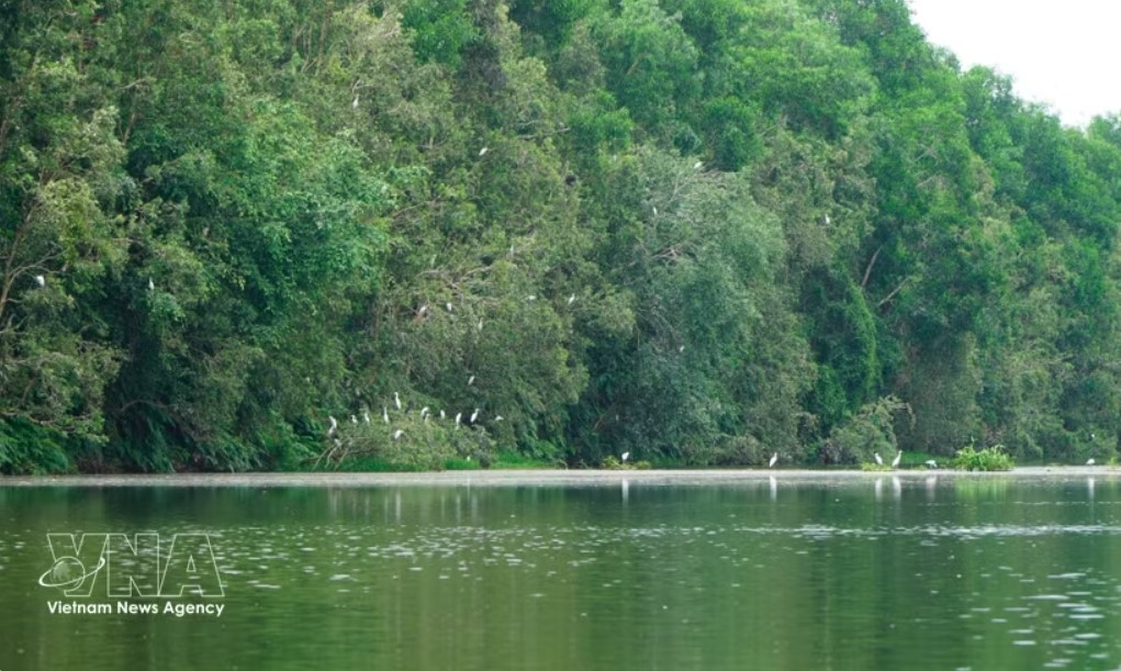 initiatives drive vietnam push to protect biodiversity for sustainable future picture 1
