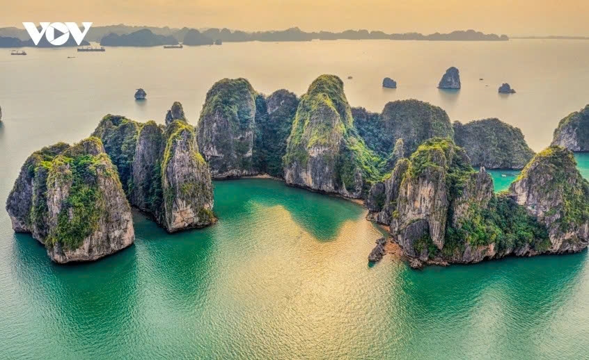 world 7 wonders day to take place on grand scale in ha long bay picture 1