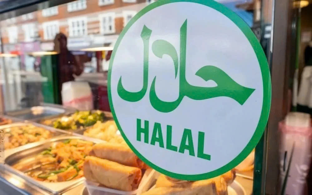 halalviet centre to debut, supporting businesses in expanding exports picture 1