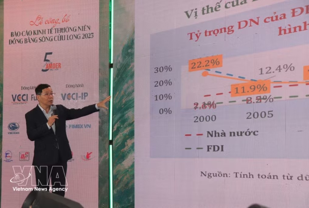 mekong delta economic report 2025 released picture 1