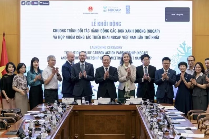 blue carbon partnership launched to unlock green finance picture 1