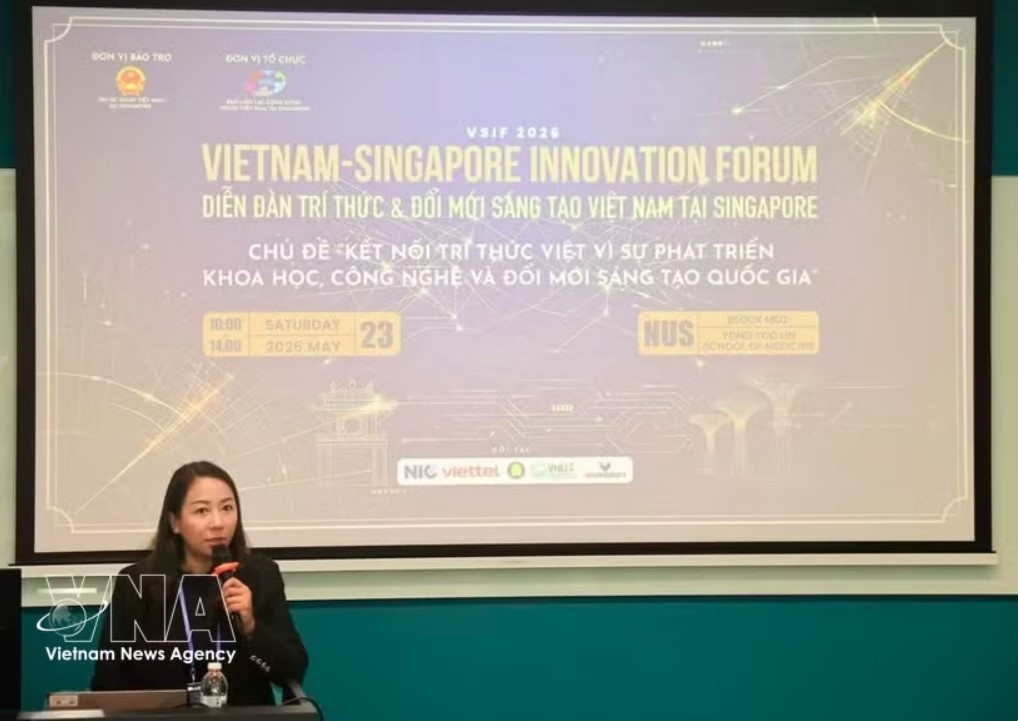 vietnamese community in singapore pins high hope on top leader s state visit picture 1