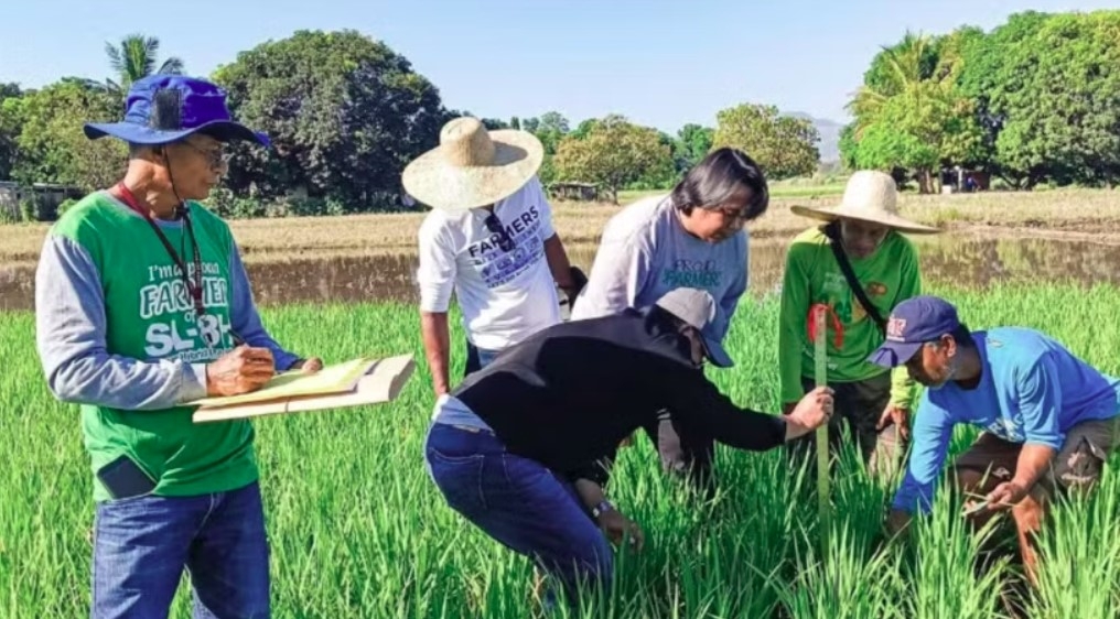 vietnam, philippines further boost cooperation in food security picture 1