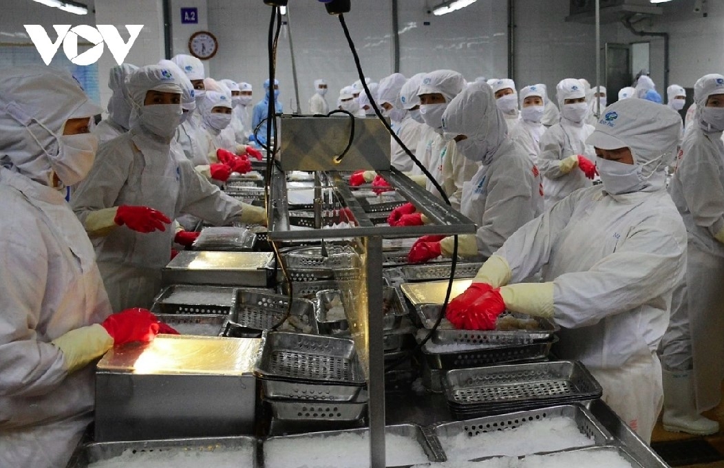 us releases preliminary anti-dumping review results on vietnamese shrimp picture 1