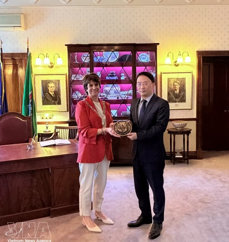 vietnam, ireland seek to expand all-around cooperation picture 1