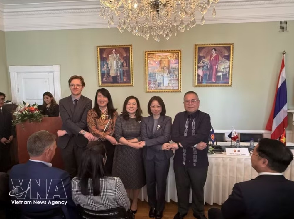 vietnam assumes asean committee chairmanship in copenhagen picture 1