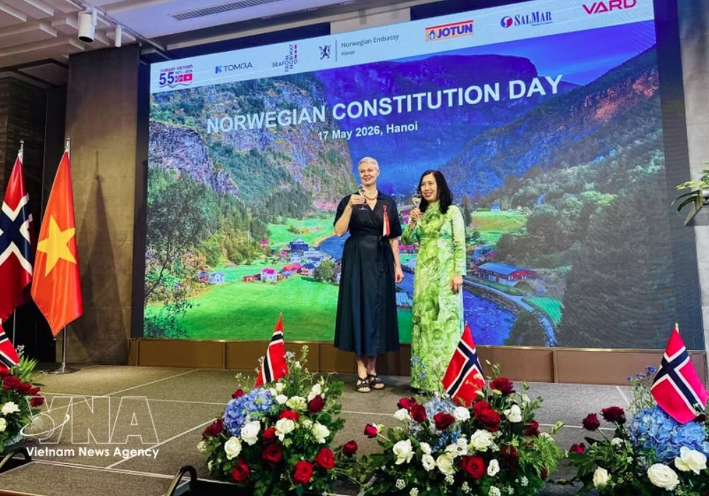 vietnam, norway seek strategic, practical cooperation frameworks picture 1