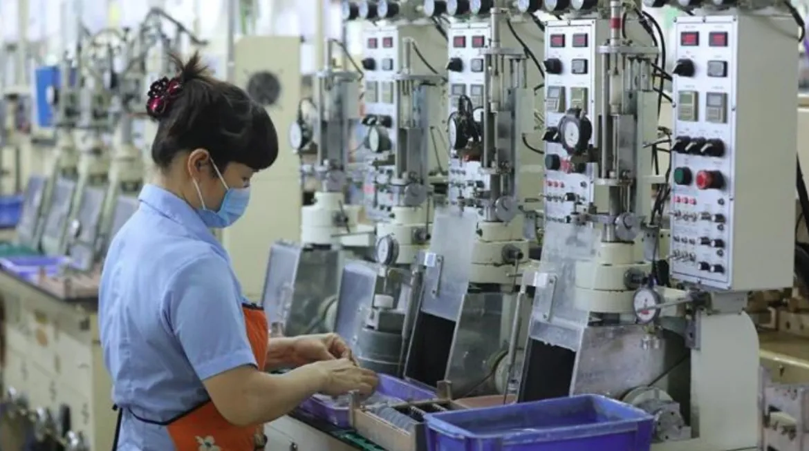 vietnamese firms seek trade, investment opportunities in busan picture 1