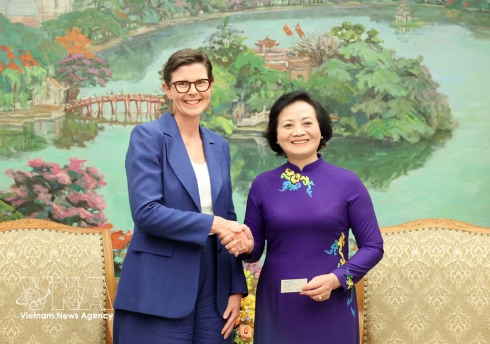 deputy pm calls on who to further support vietnam s healthcare reform picture 1