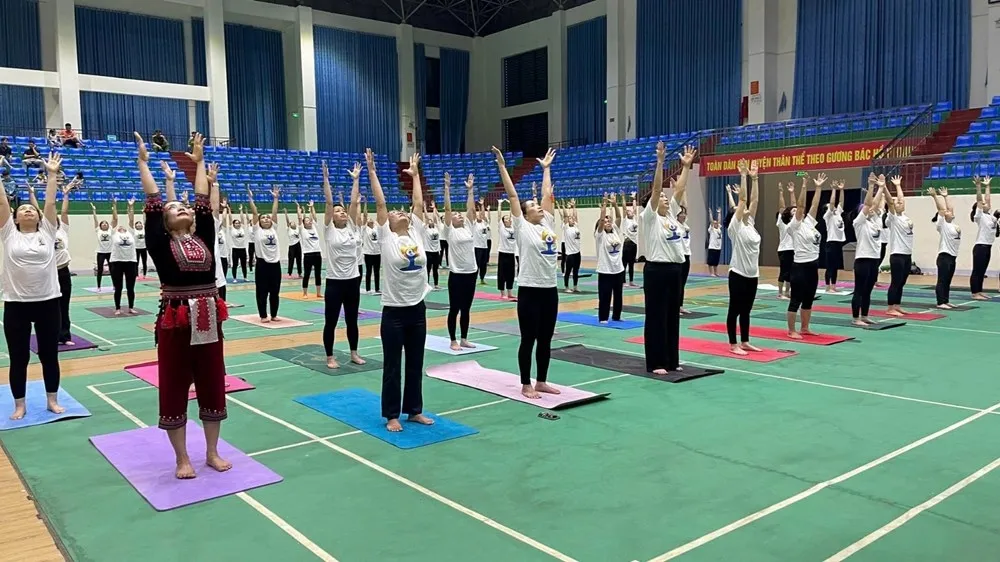 300 practitioners to join mass performance for int l yoga day in lai chau picture 1