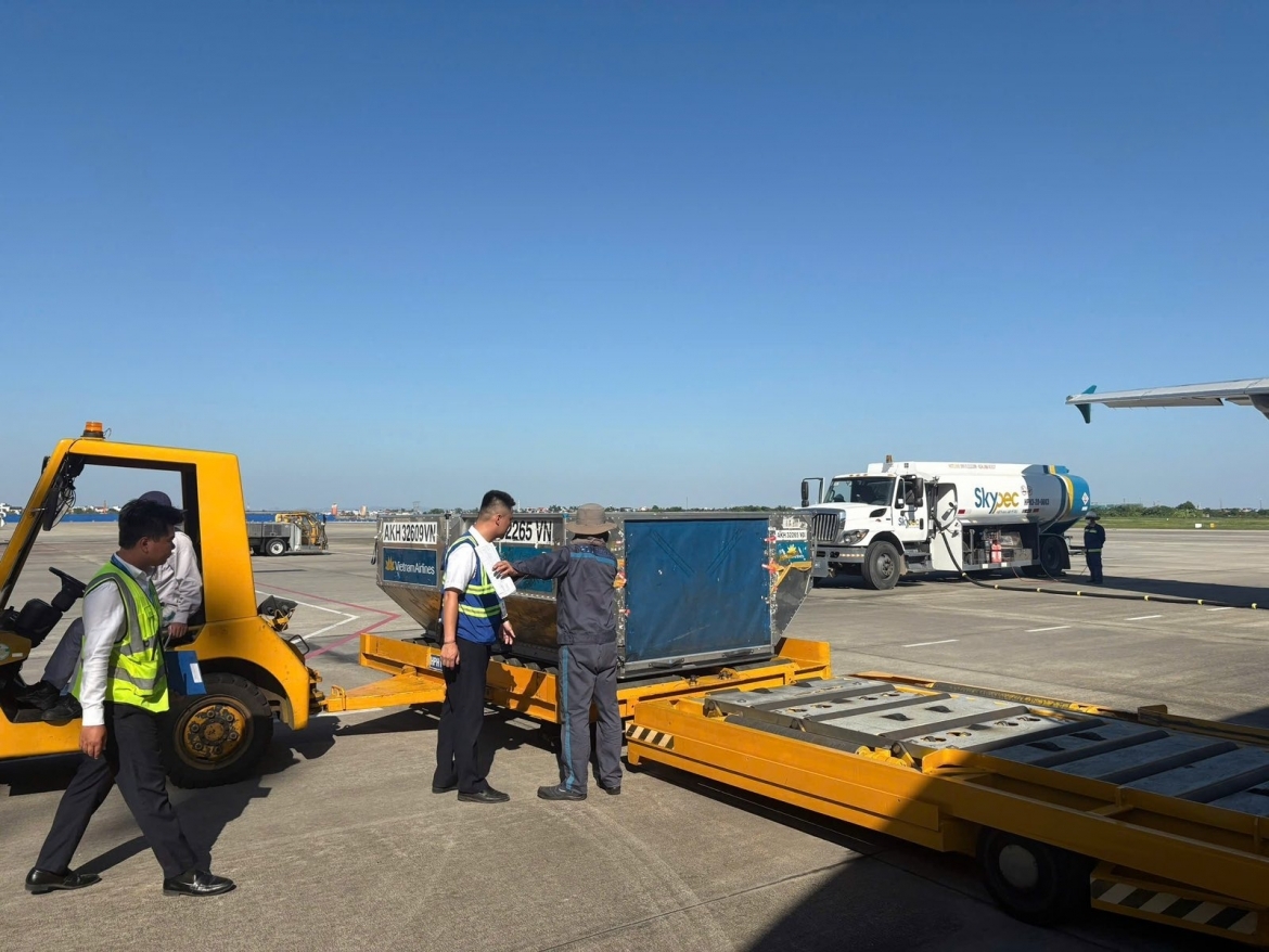 airport ground staff work in heat up to 80 degrees celsius picture 5