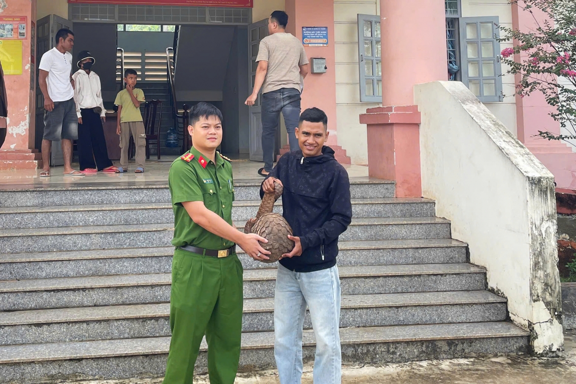 bat duoc te te quy hiem nang 9kg, mot thanh nien o Dak lak giao nop cho xa hinh anh 1