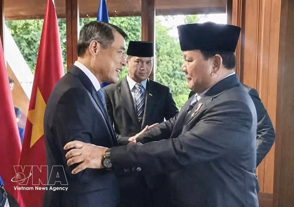 vietnamese pm meets leaders of singapore, thailand, indonesia picture 3