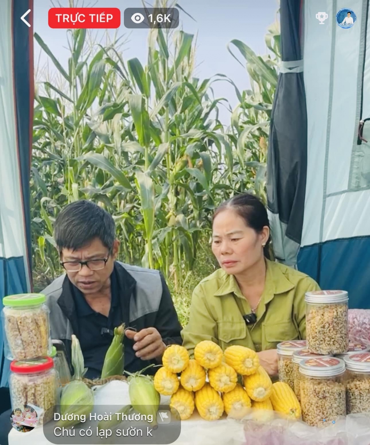 wind media cung nha sang tao noi dung va nhan hang tao nen gia tri ben vung hinh anh 2