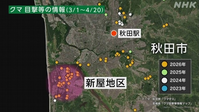 gia tang dot bien tinh trang gau xuat hien o khu vuc dan cu tai nhat ban hinh anh 1