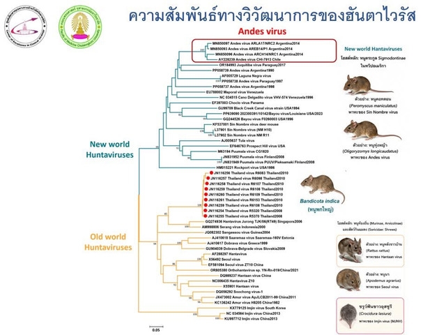 Thái Lan và Malaysia tăng cường giám sát trước cảnh báo về dịch hantavirus