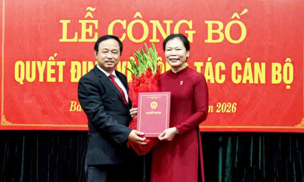 ba chu le huong giu chuc chanh an toa an nhan dan tinh bac ninh hinh anh 1