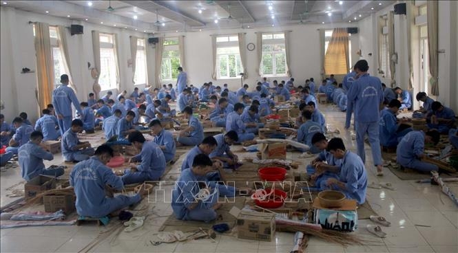 thu tuc xac dinh tinh trang nghien ma tuy hinh anh 1