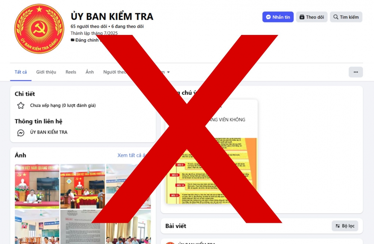xuat hien nhieu fanpage gia mao Uy ban kiem tra trung uong hinh anh 1