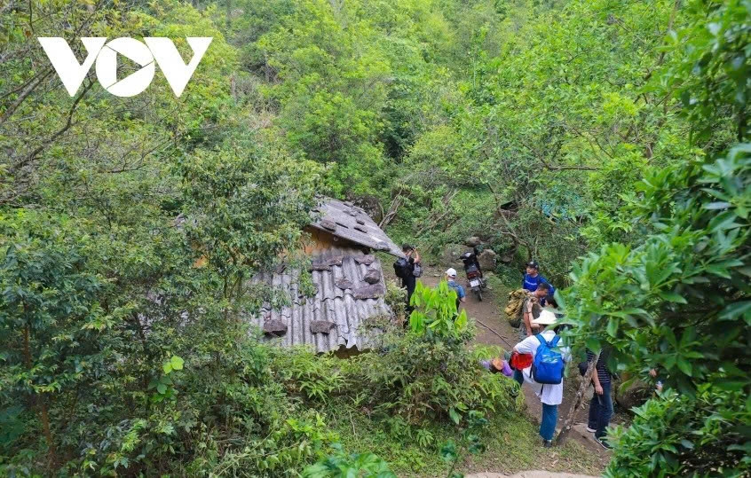 cao xiem mt. where forests, clouds, and culture meet in northern vietnam picture 4