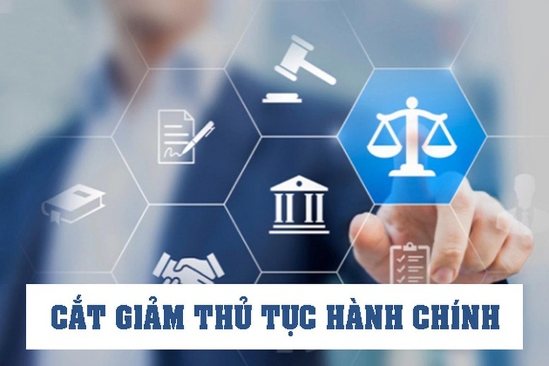 thu tuong yeu cau khan truong ra soat, cat giam, don gian hoa thu tuc hanh chinh hinh anh 1