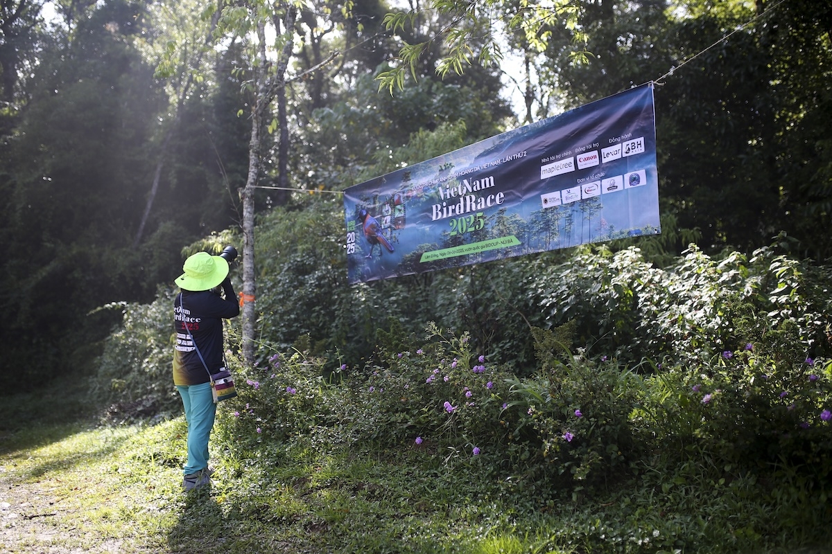 vietnam birdrace 2026 - khi canh chim ket noi, lan toa tinh yeu thien nhien hinh anh 9