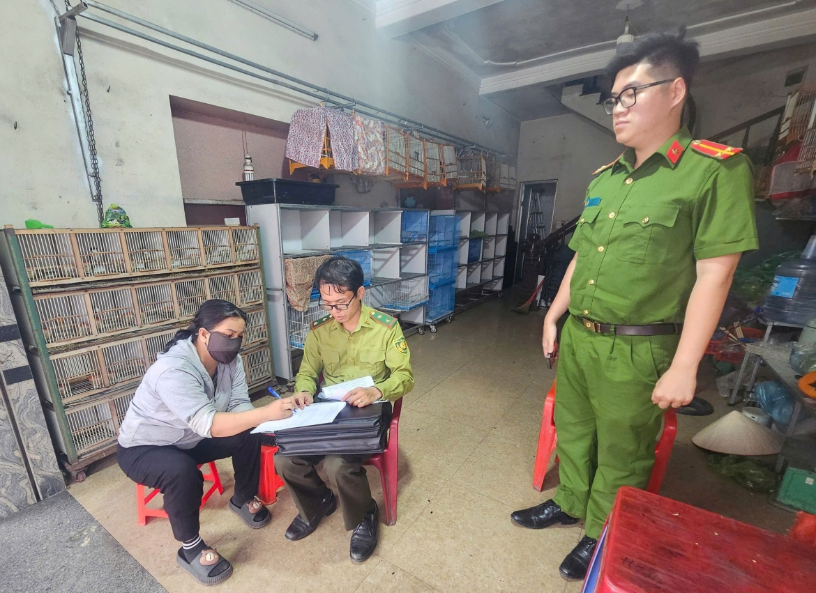 phat hien ba truong hop nuoi nhot gan 1.000 chim hoang da o hai phong hinh anh 2