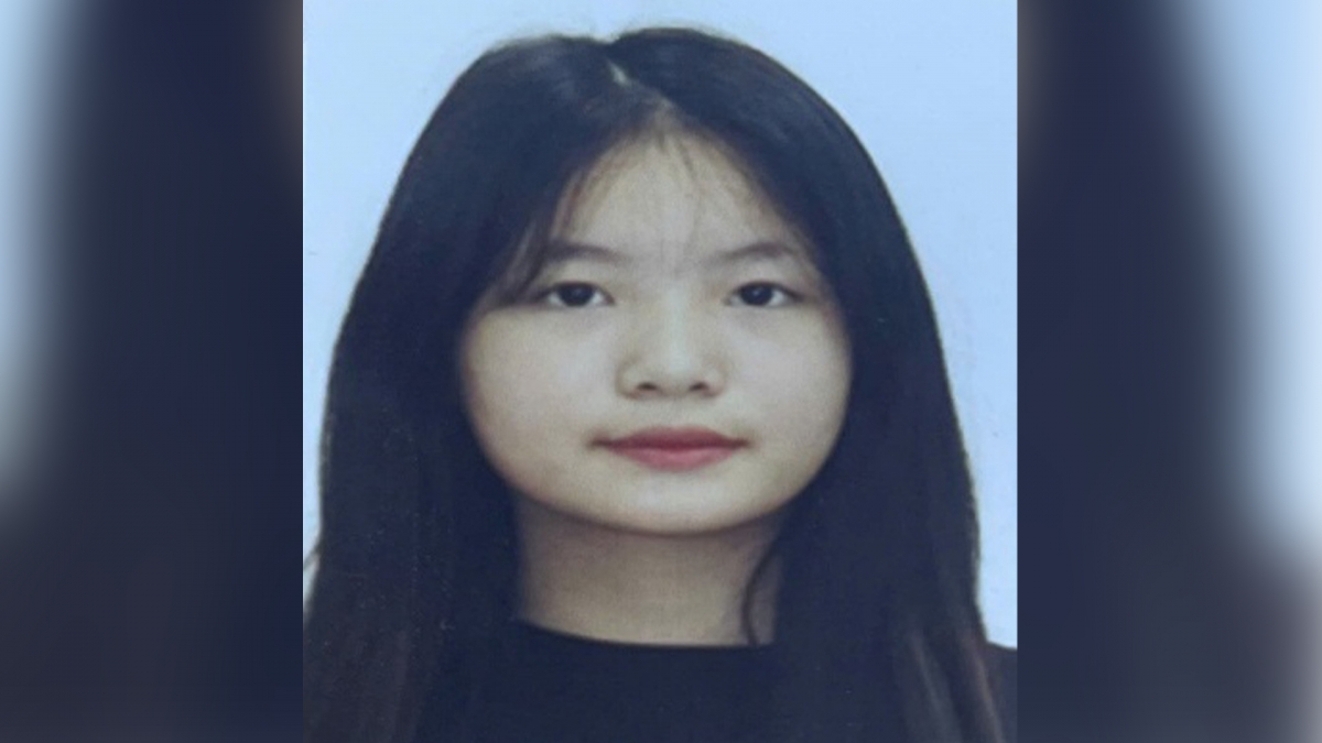 cong an ha noi truy tim gap nghi pham gay roi truoc so 33 an trach hinh anh 1
