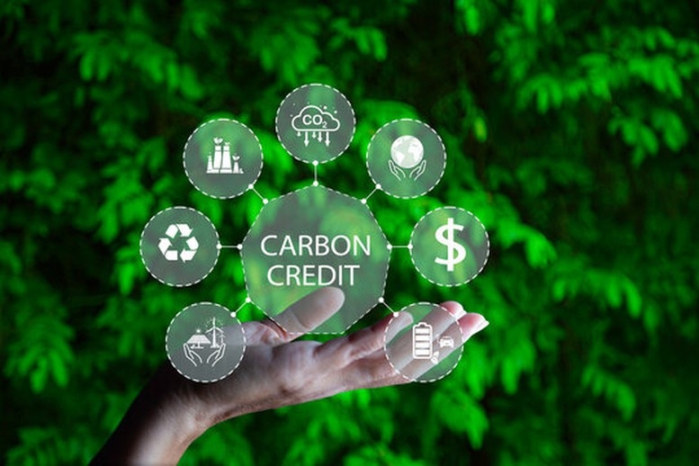 Vietnam moves to complete legal framework for pilot carbon exchange