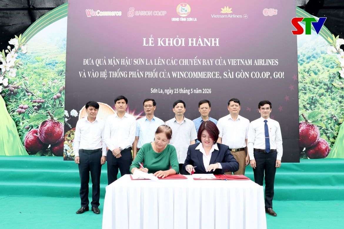 saigon co.op dong hanh tieu thu man hau son la, gia tot hon thi truong den 50 hinh anh 2